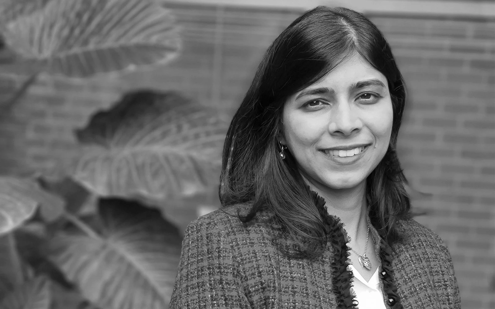 Dr Aneesha VargheseCowan Enprise Group NonExecutive Director