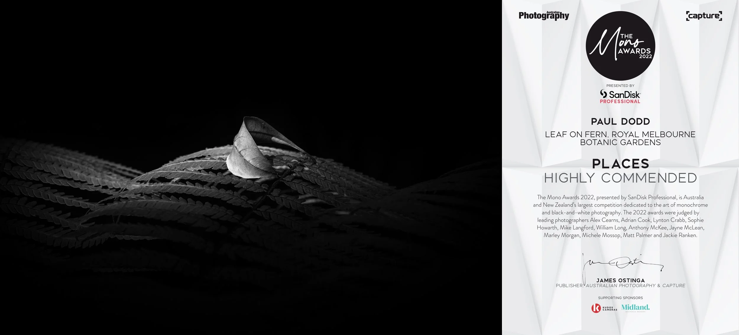 Mono2022 - DSC_0820.jpg