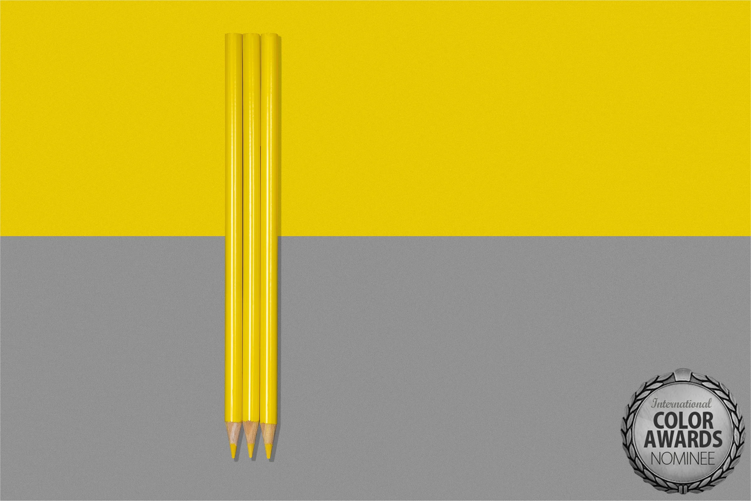 IntlColor2022 - DSC_6190-Edit-Edit.jpg