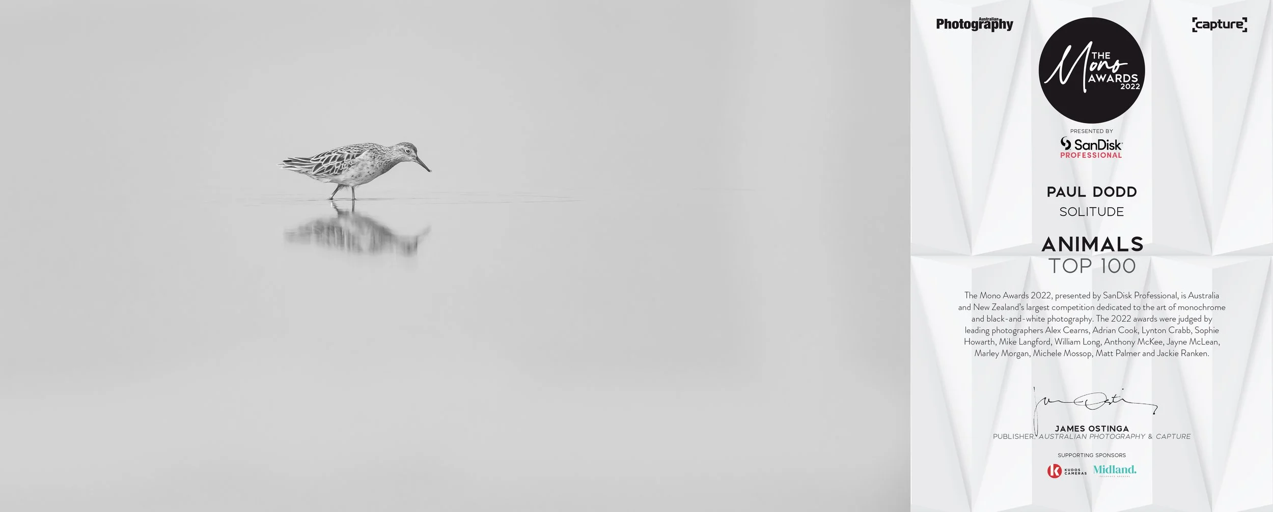 Mono2022 - DSC_7775.jpg