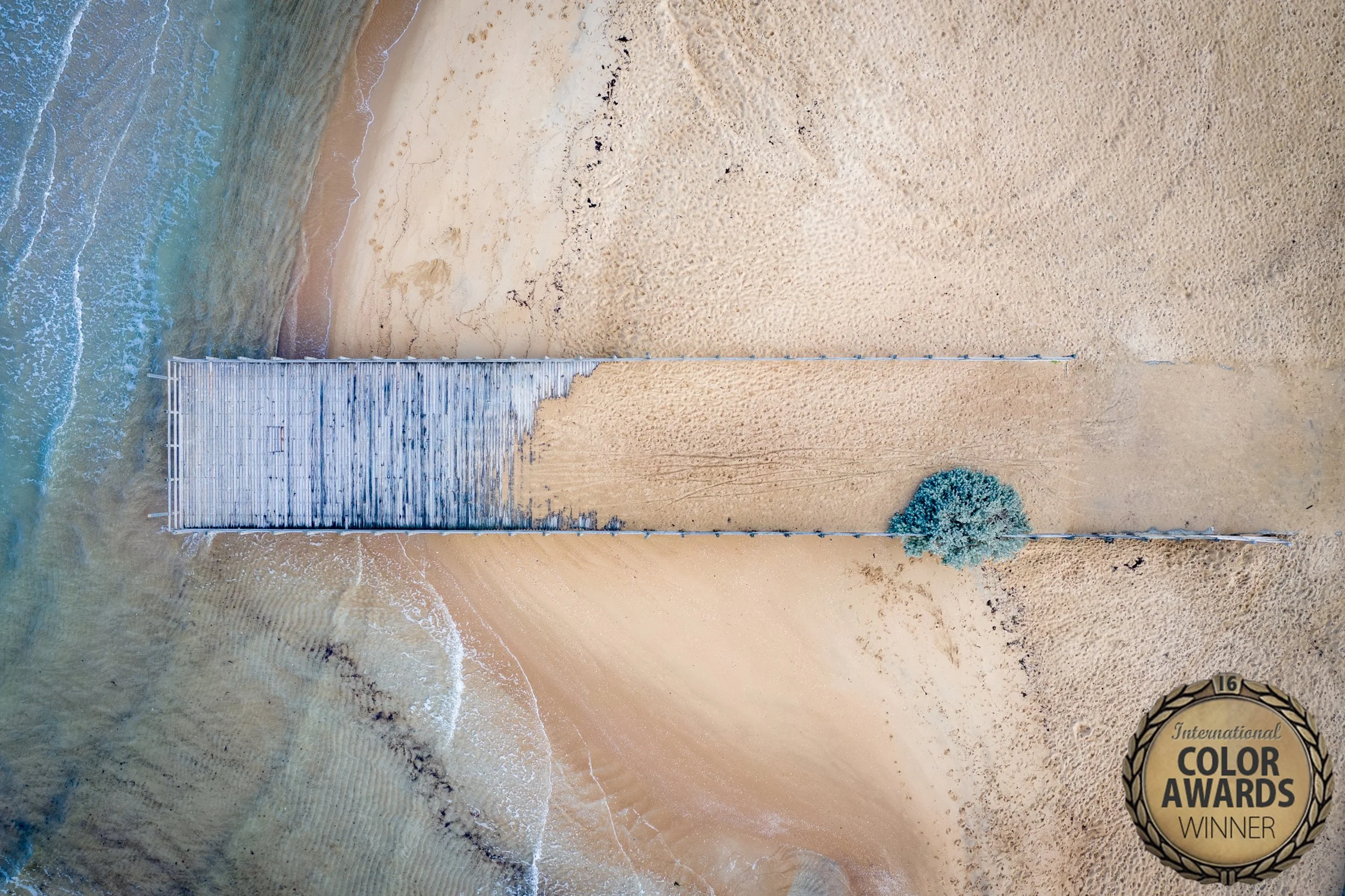 IntlColor2021 - DJI_0171-HDR.jpg