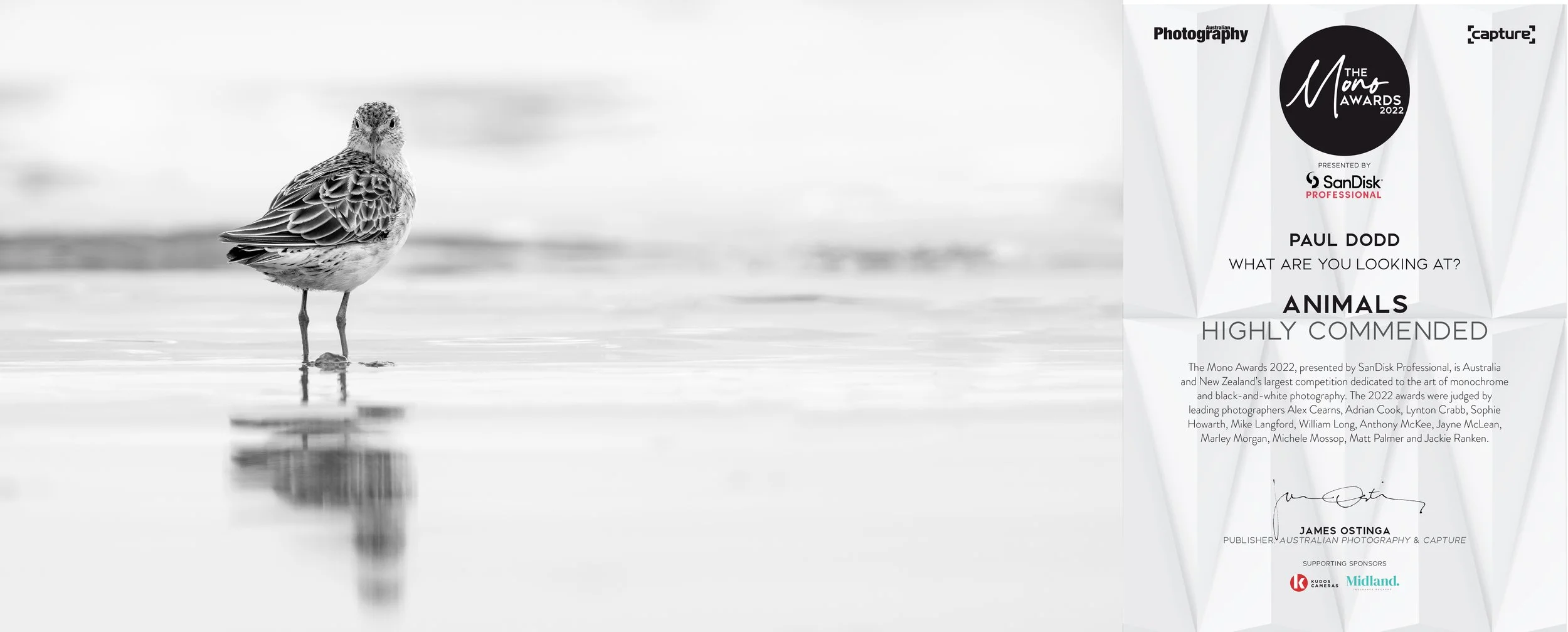 Mono2022 - DSC_0940-Edit.jpg