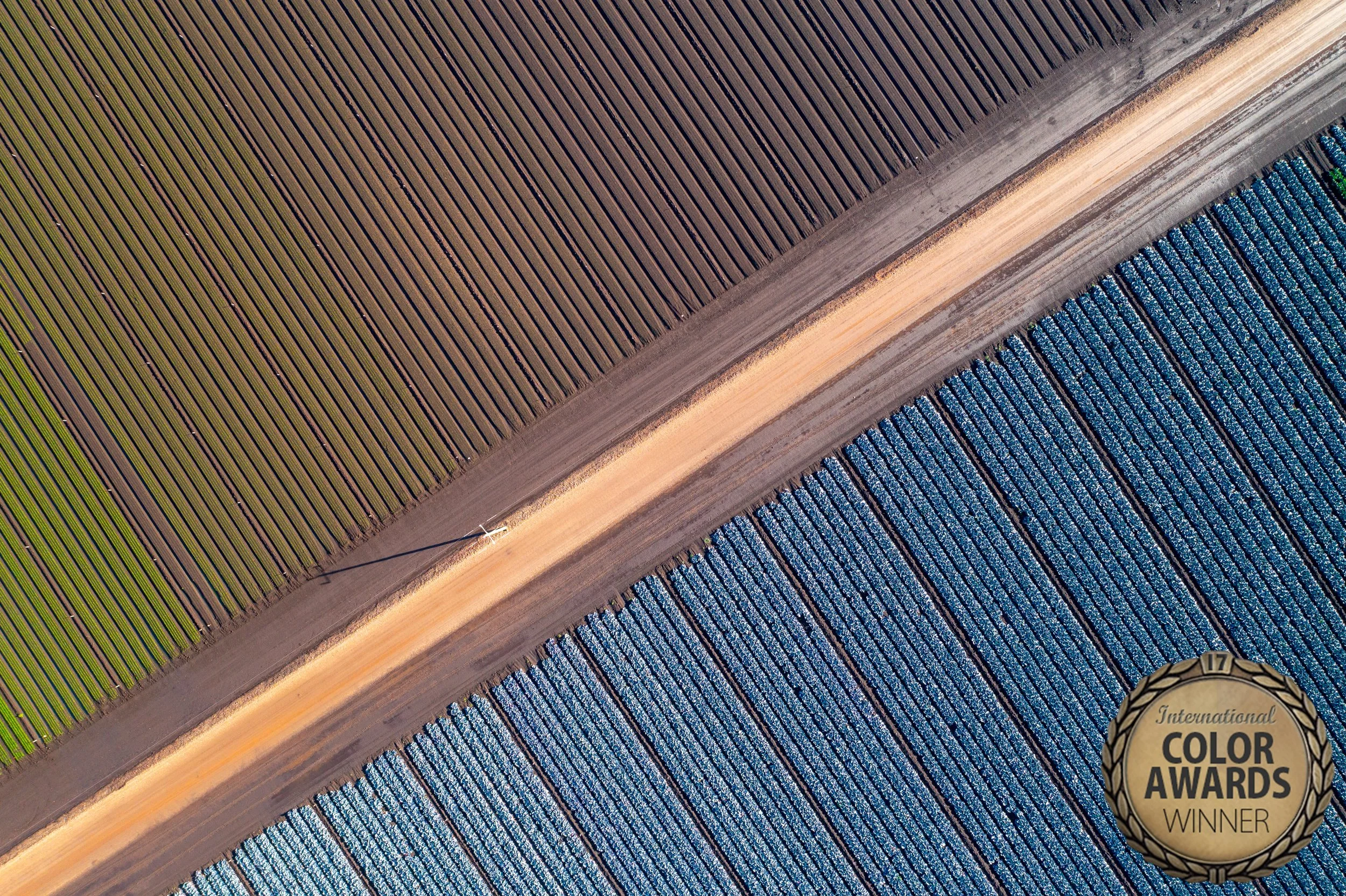 DJI_0988-Edit.jpg