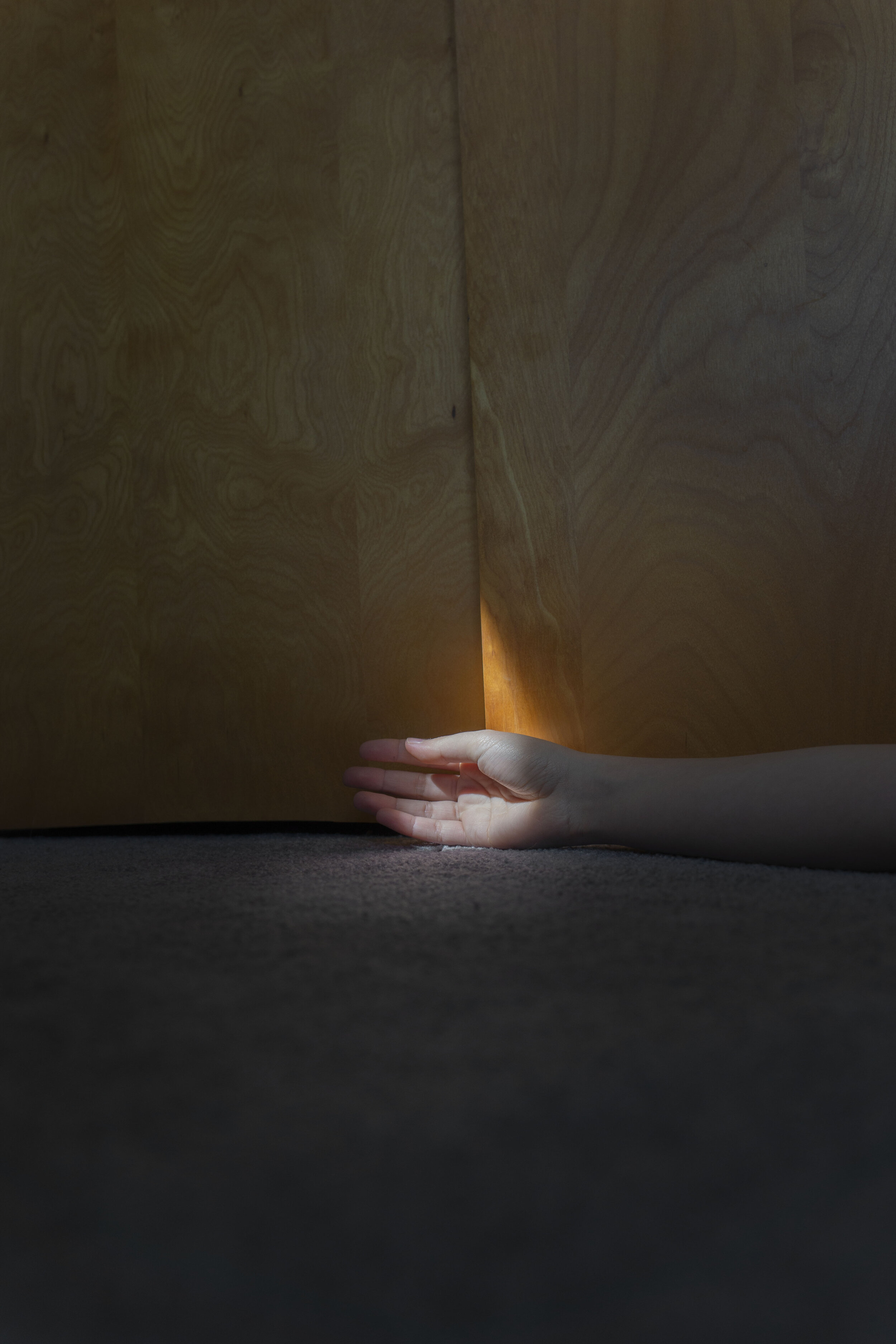 Hand/Light