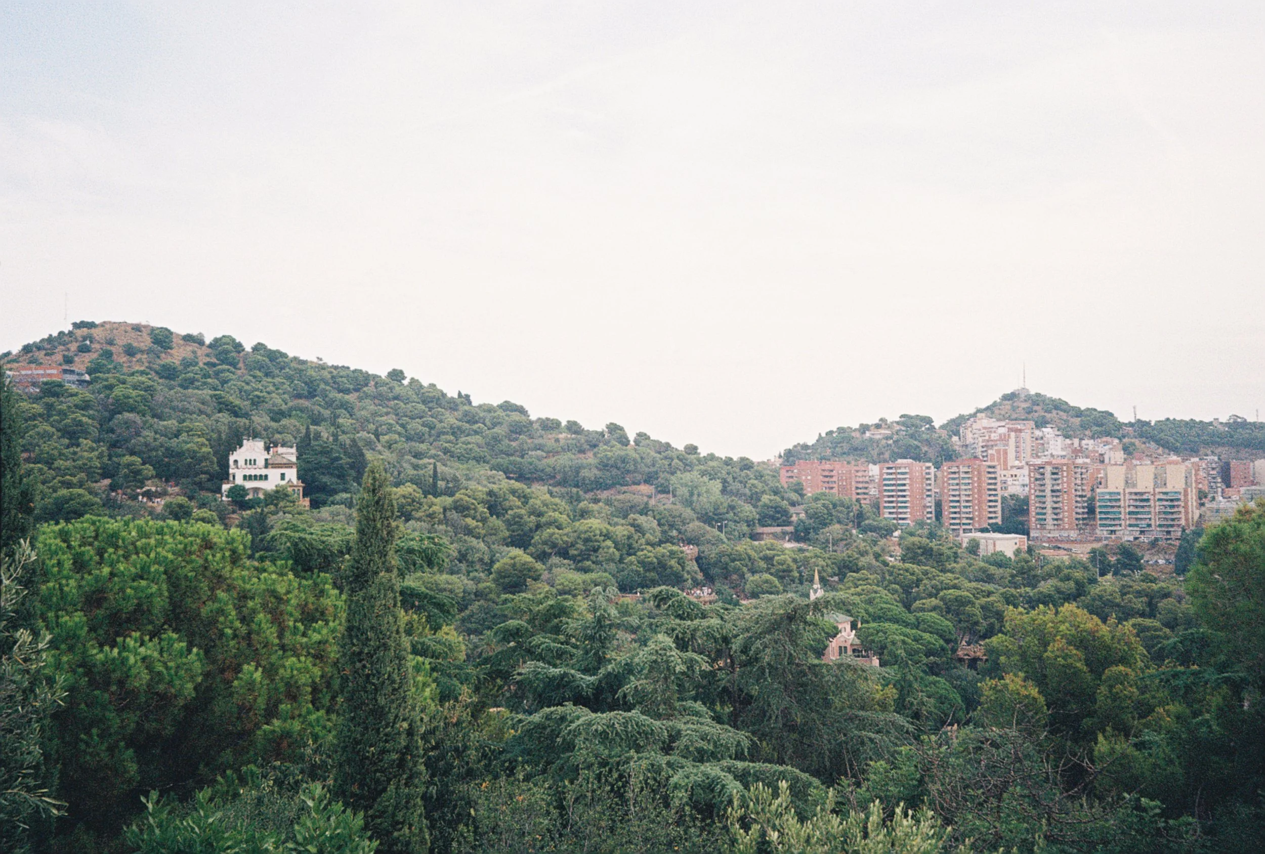 A cityscape with green hills and a forest in the foreground, mid-height buildings, and a hilly area with scattered trees and structures in the background under a cloudy sky.