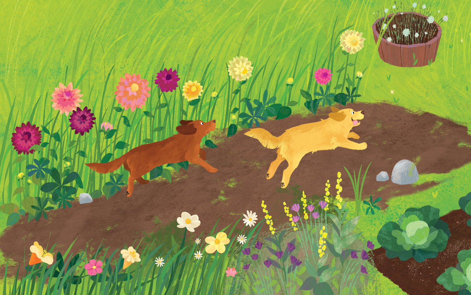 dog+chasing+bunny.png