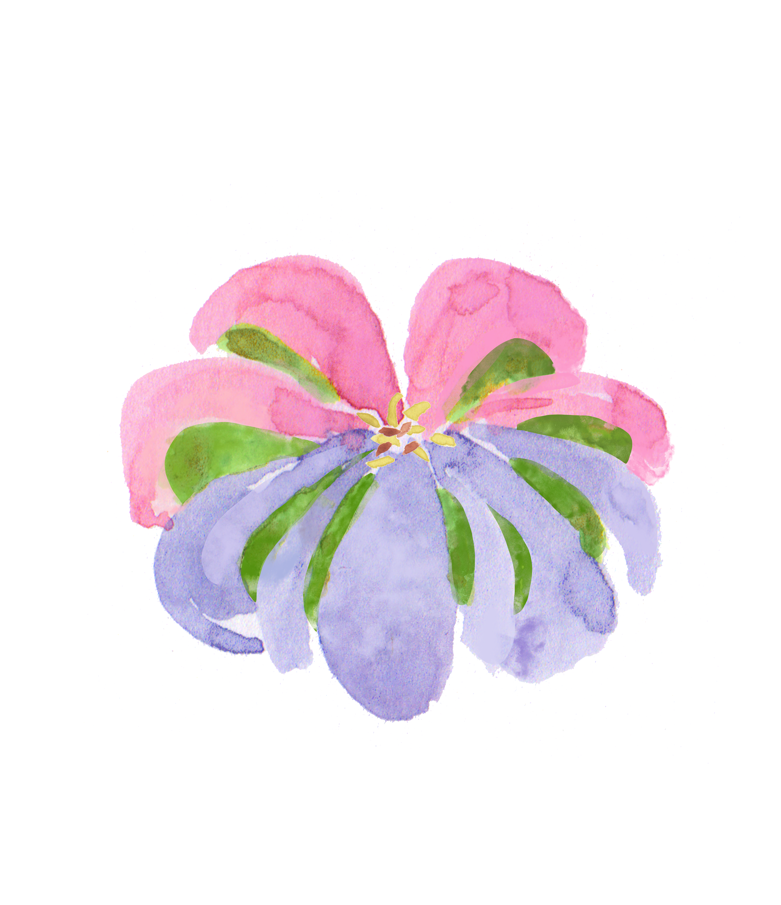 flower.png