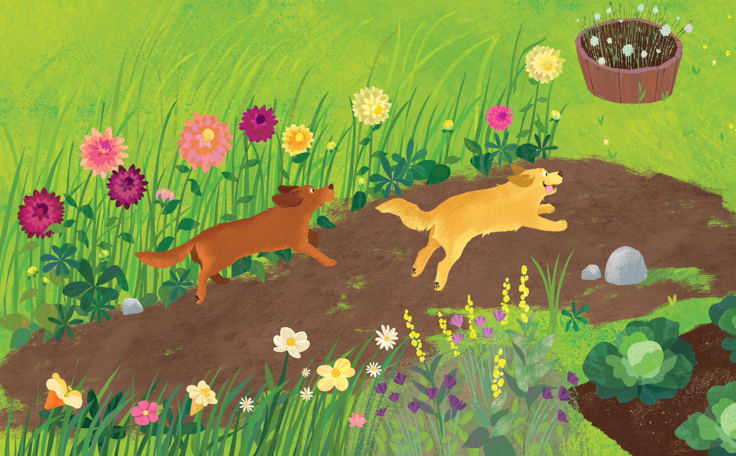 dog chasing bunny.png