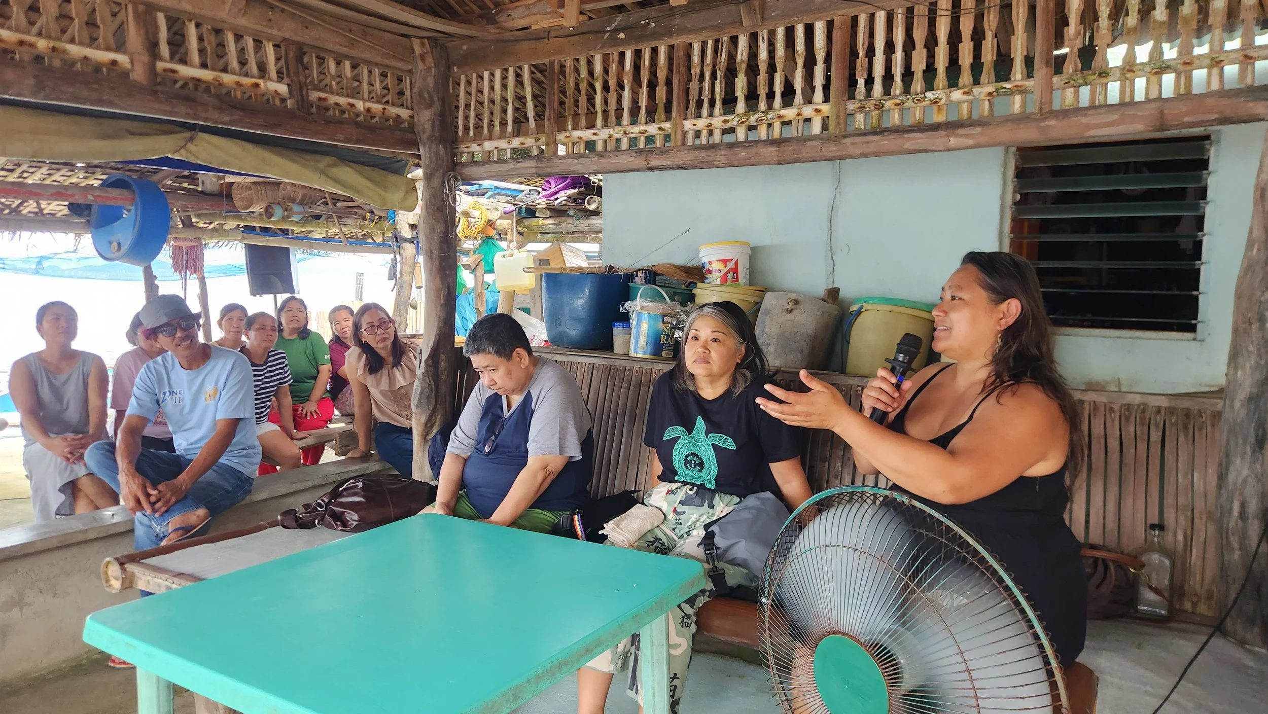 FACES Visits the Verde Island