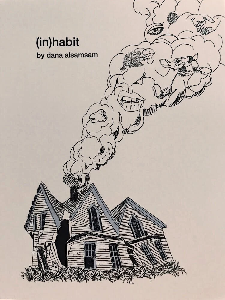 REVIEW: (in)habit by Dana Alsamsam