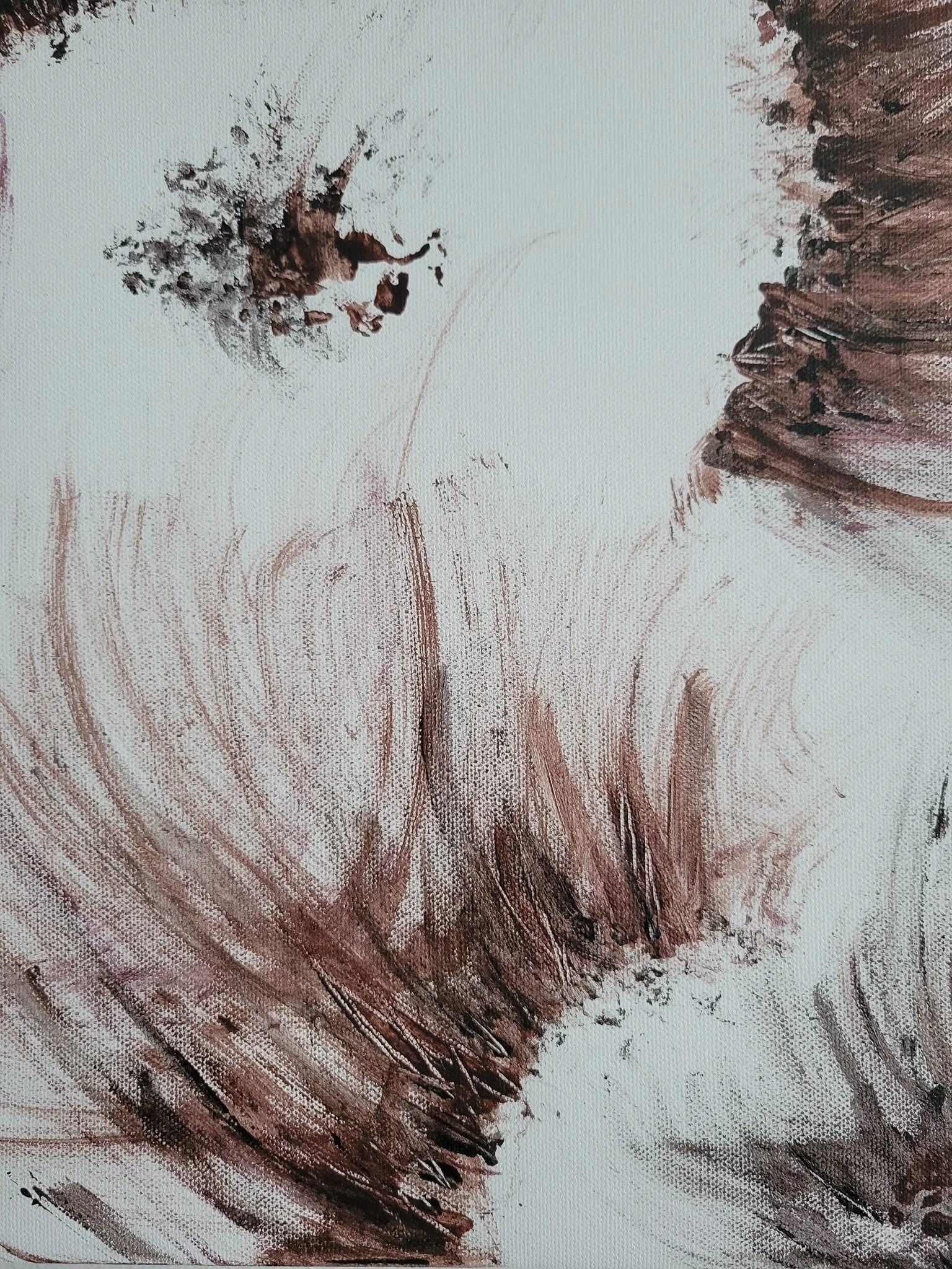 Luxe Brown (2A) (detail)