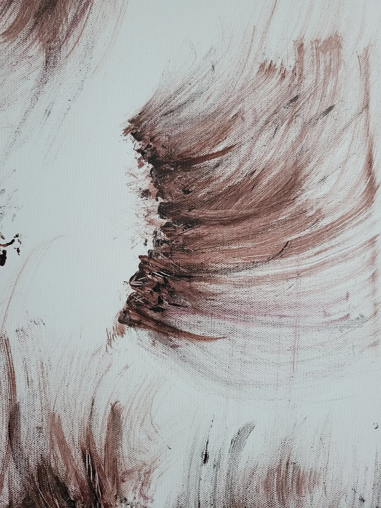 Luxe Brown (2A) (detail)