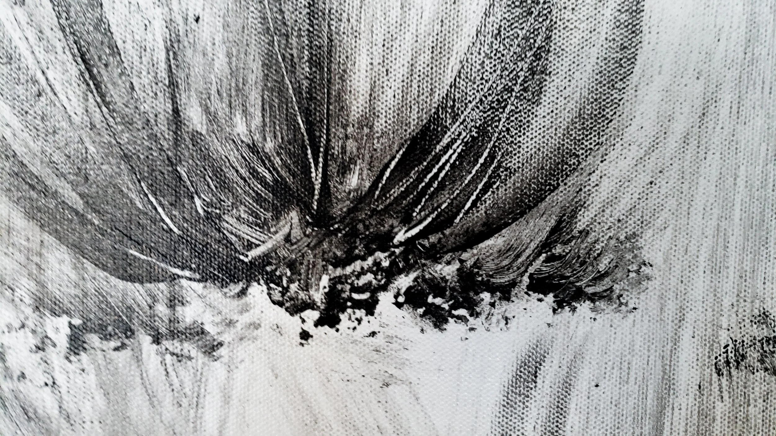 Luxe Black (1A) (detail)