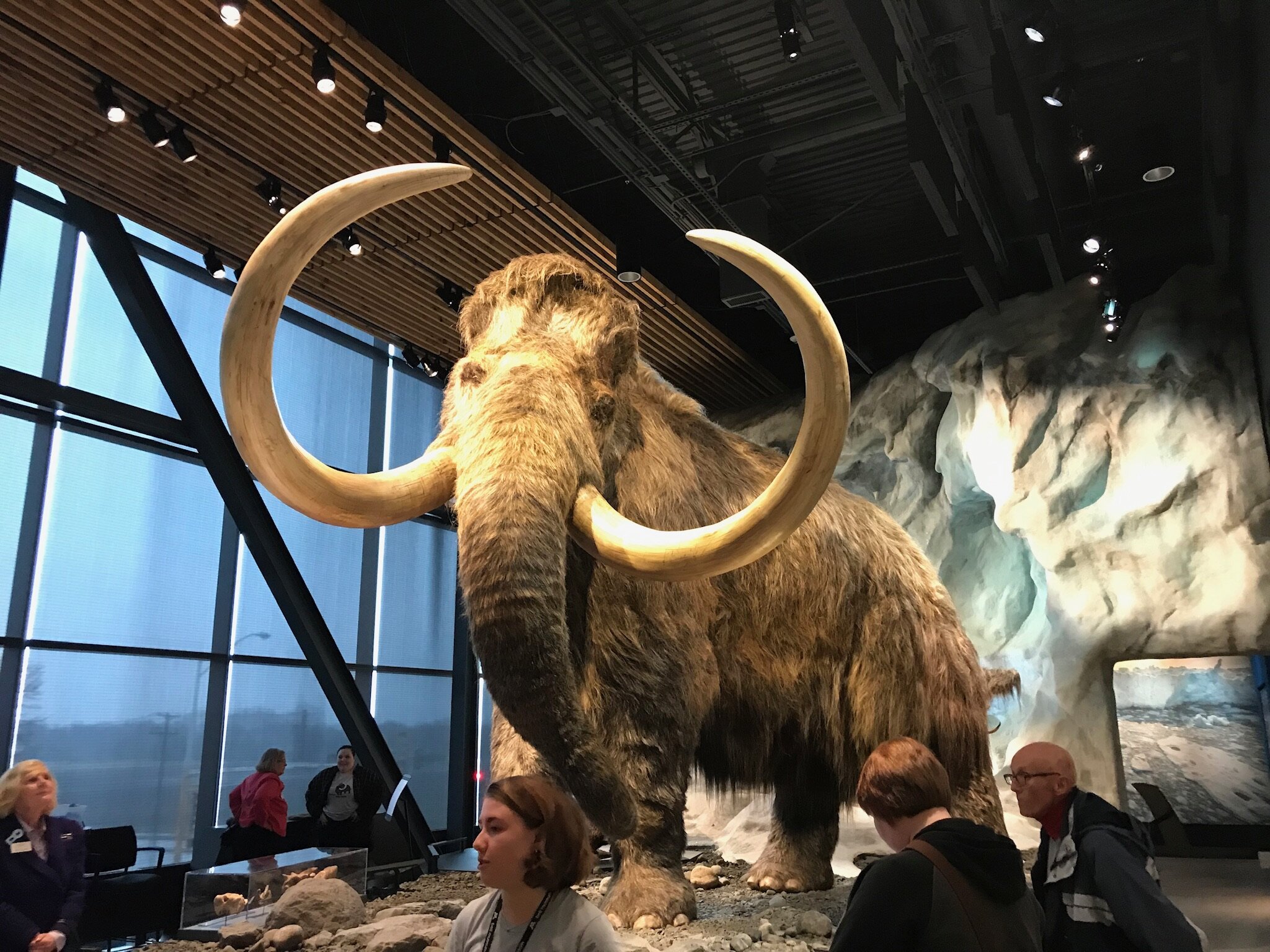 Spring event at the Bell Museum