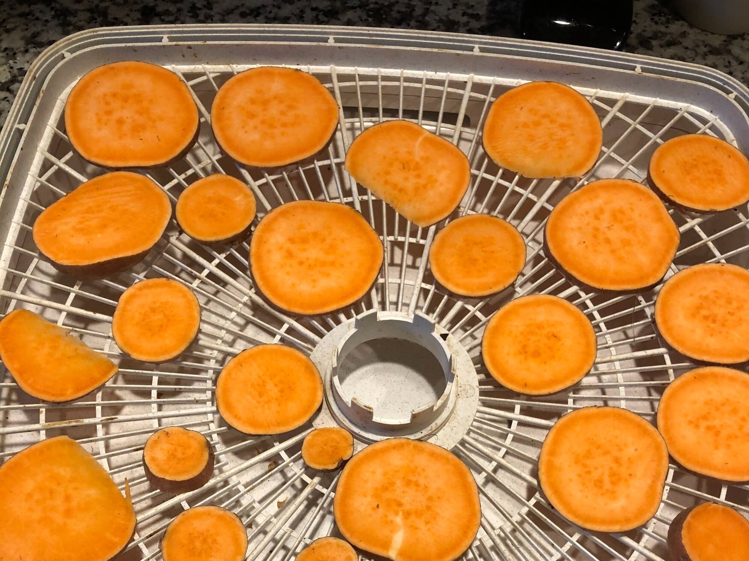 How to Make Homemade Sweet Potato Dog Treats in 3 Easy Steps — Bucket