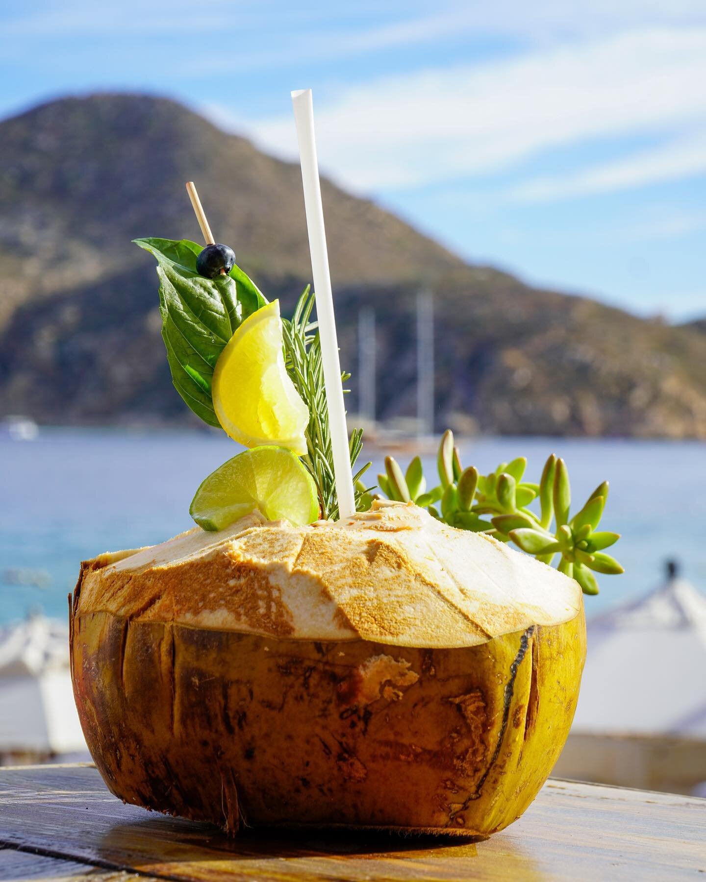 Happiness is drinking straight from the coconut. 🥥 

Felicidad es beber directamente del coco. 🤤 #milkybeachcabo 

#goodvibesonly #goodvibes #vibes #seaview #seavibes #beachvibes #beachday #beachlife #coconut #coconutwater #playa #solplayayarena #c