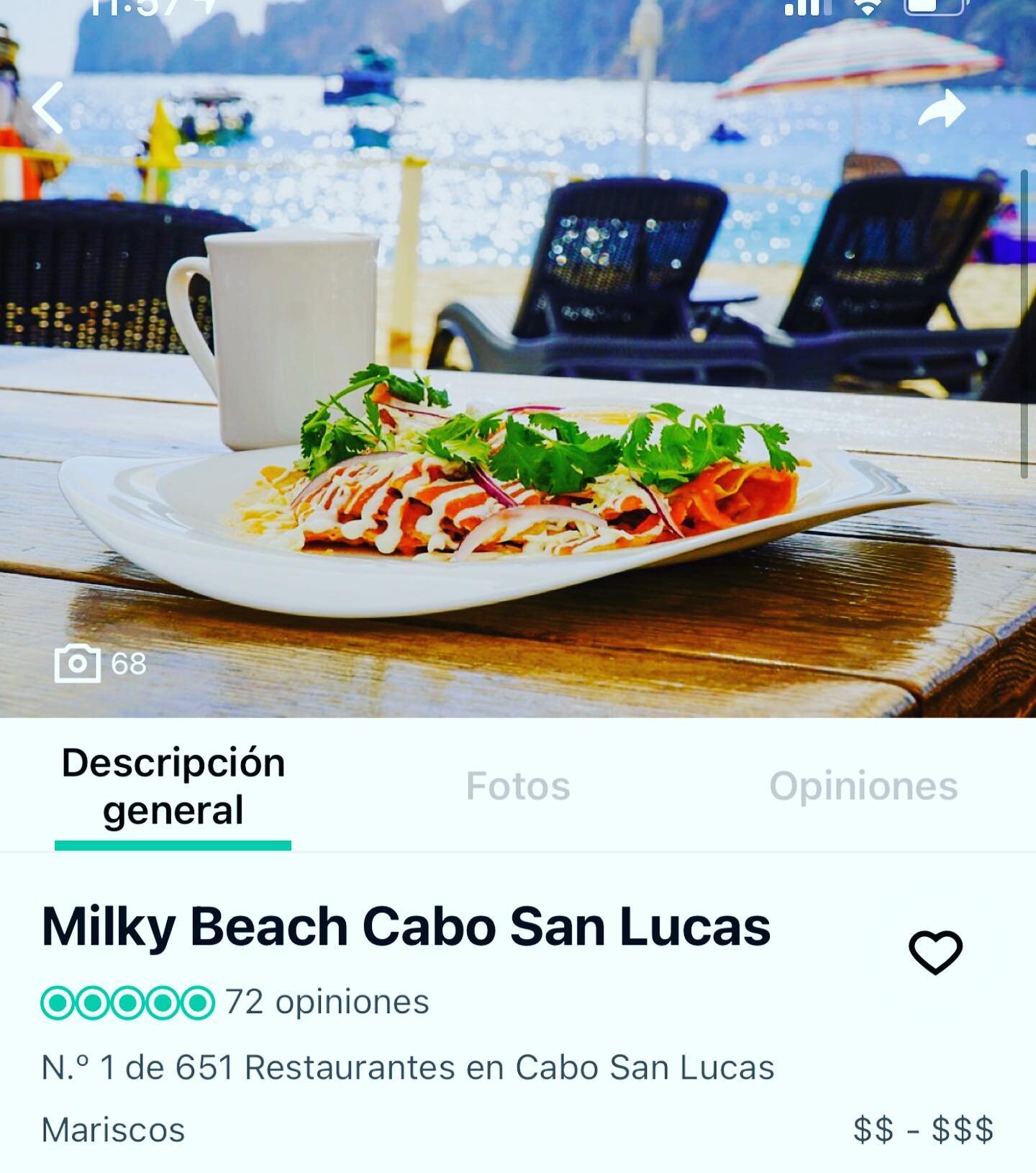 El staff de @milkybeachcabo esta celebrando que #TripAdvisor nos honra con el Primer Lugar de Restaurantes en Cabo San Lucas. 

Todo esto gracias al equipo de trabajo que desde las 6:00 am est&aacute; preparando tus gustos culinarios favoritos, las s