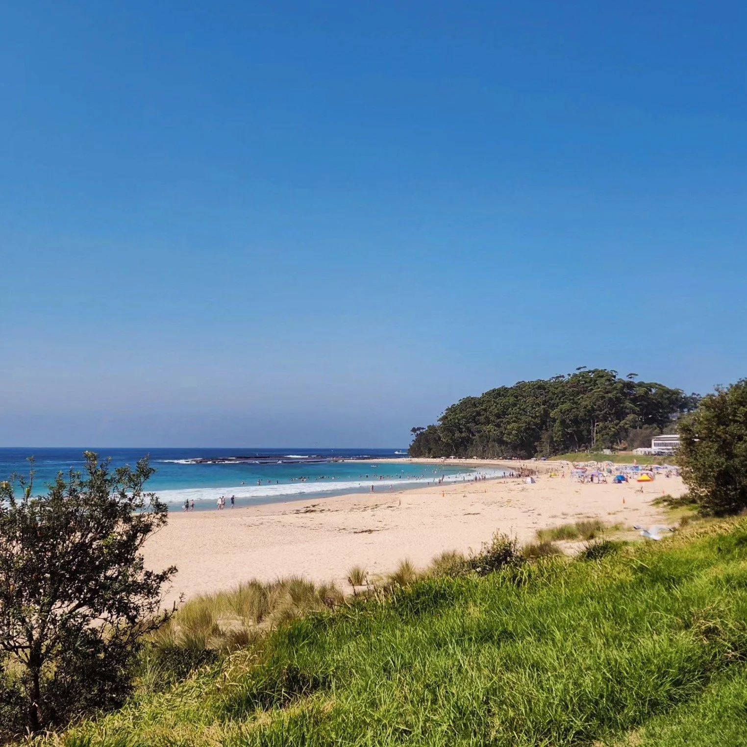 🏖 Lazy weekends beaching, and then downtime at your favourite local. Enjoy a post beach brew and a Bistro feed at the Golfy. A place to relax. 🥂

📷: @mollymookdream
.
.
#mollymookgolfclub #thegolfy #weekends #beachdays #holidays #mollymookbeach #s