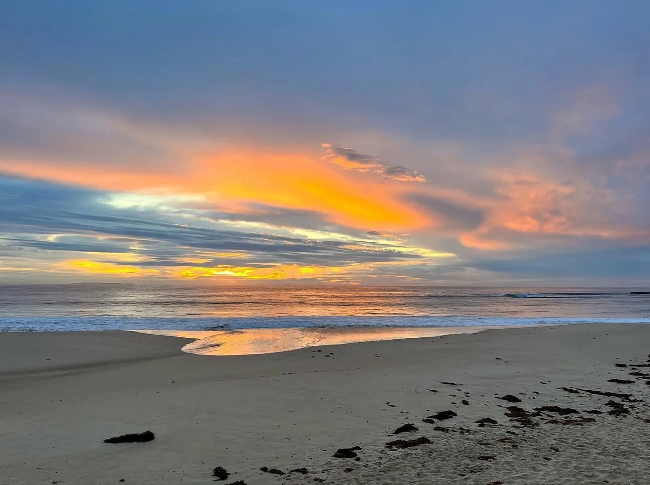 Today, we remember those who have served and died in war, conflicts and peacekeeping operations and reflect on the sacrifices they made.

The 11th of November, Remembrance Day. 🌺

Lest we forget.

📷: @mickyscott_today 
.
.
#mollymookgolfclub #remem