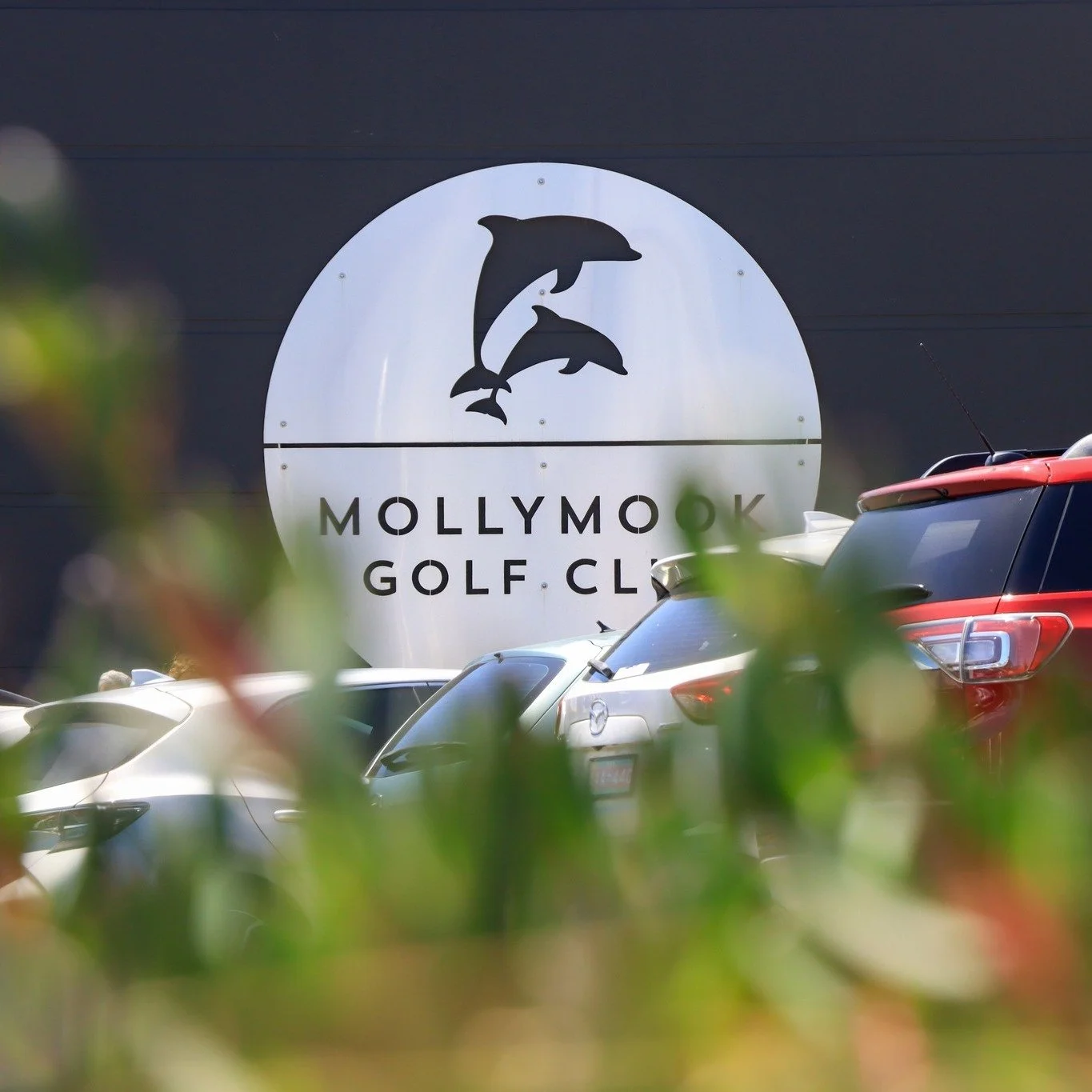 Forget hump day, Wednesdays are now PUMP day! ⛽️ Get your motor running to the Golfy on Wednesday nights for the next 6 weeks for your chance to win a share in $6000 worth of fuel vouchers in our FUEL FRENZY RAFFLE! 🚘 

🗓️ From this Wednesday 22nd 