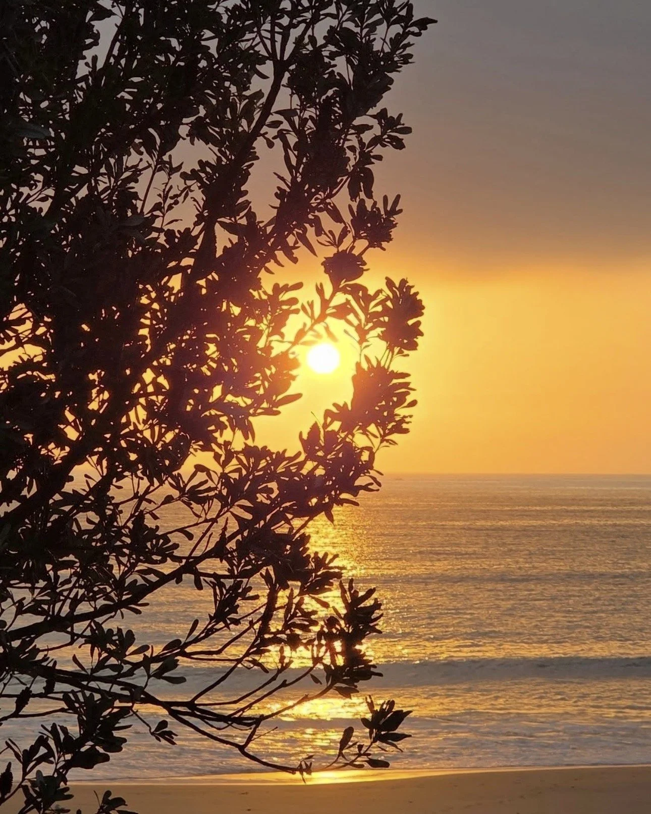 This ANZAC Day, we honour the spirit of mateship, courage, and sacrifice that defines our nation.

We remember those who have served and given so much for Australia. 

Lest we forget.

📷: @nannyjanny50 
.
.
#mollymookgolfclub #ANZACday #LestWeForget
