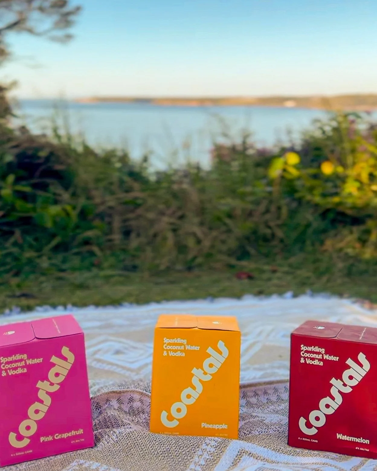 Inspired by the Aussie coastal lifestyle, Coastals blends 100% natural coconut water, ultra-smooth vodka, and real fruit juice, finished with a touch of sea salt. 🥥 🌊

Now available at @mollymookcellarbrations to takeaway in a convenient 4-pack, fe