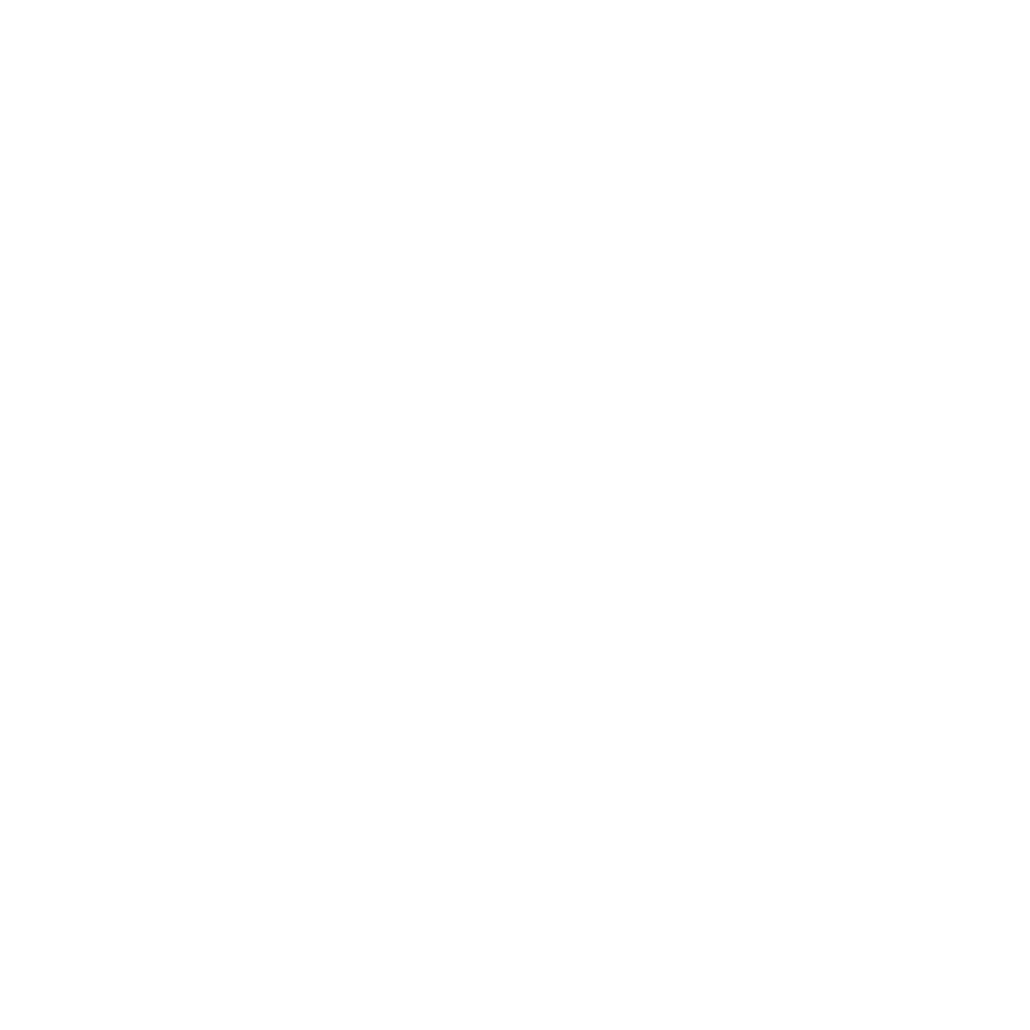Randy Savvy
