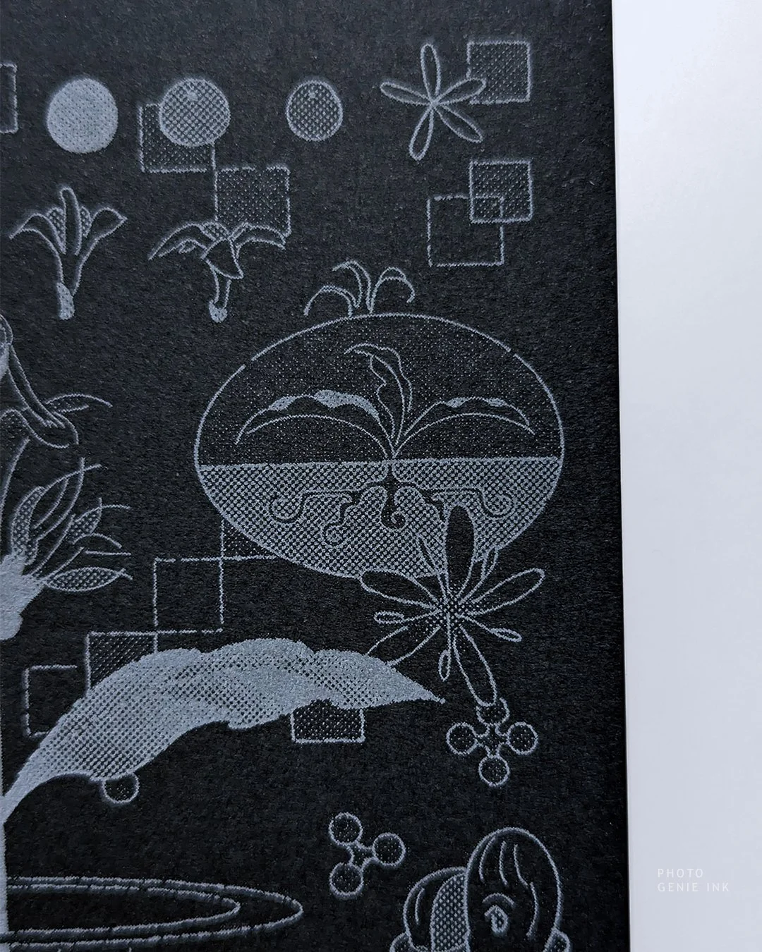 Genieink_CO_IL_PA-05_fromseedtoflower_riso_CU2.jpg