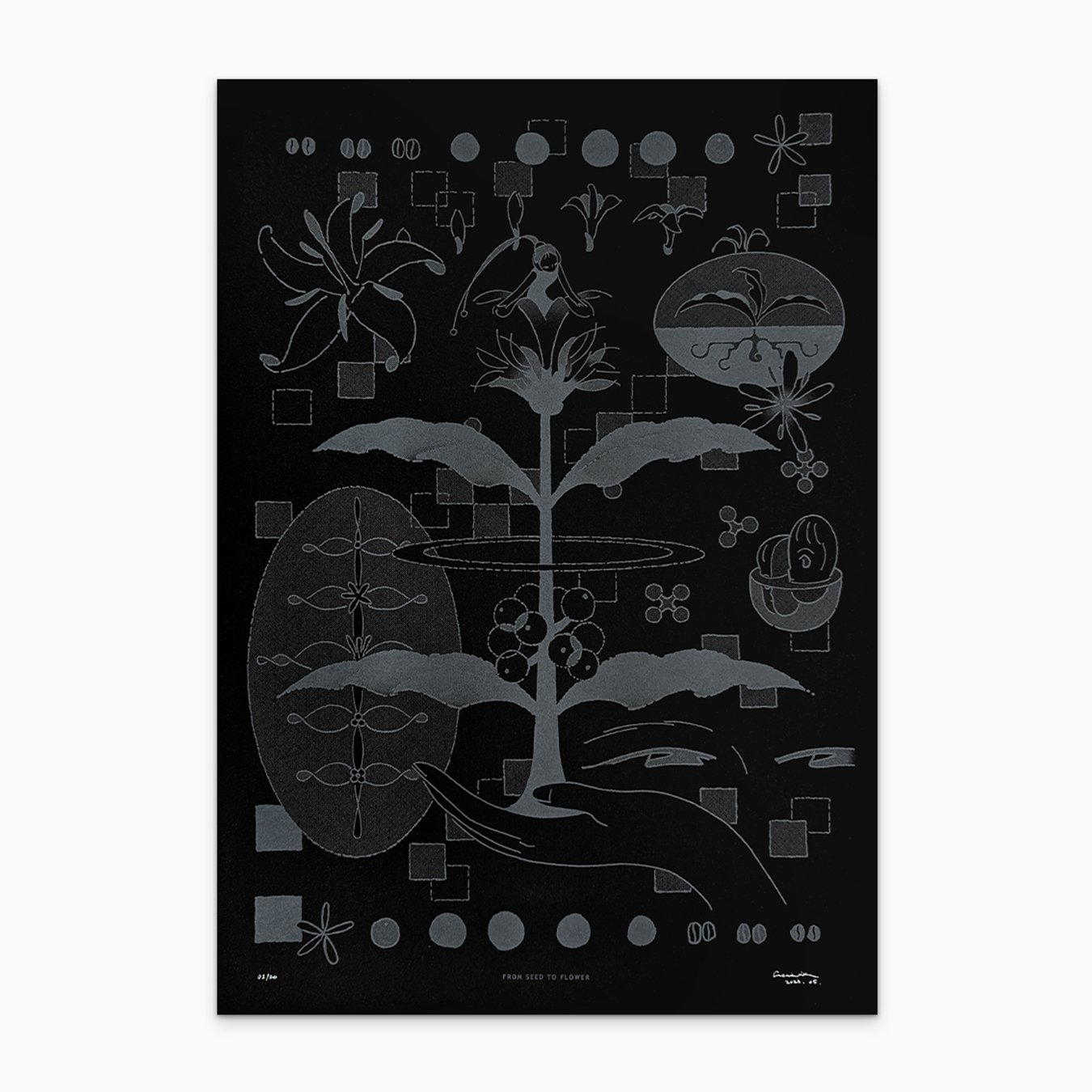 From Seed To Flower - Large Poster