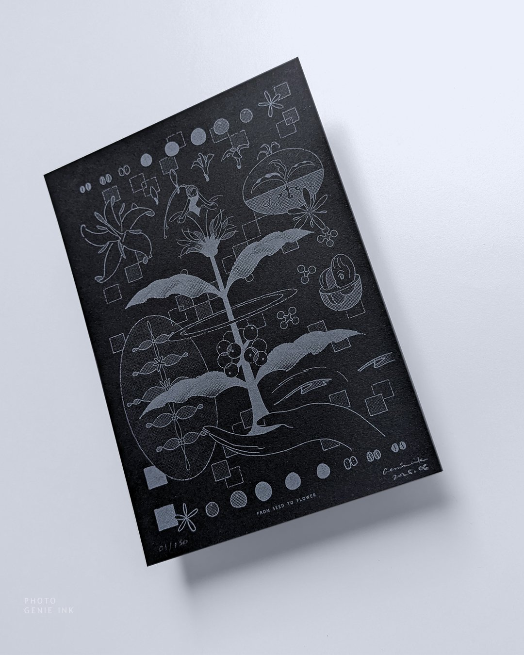 Genieink_CO_IL_PA-05_fromseedtoflower_riso_photo1.jpg