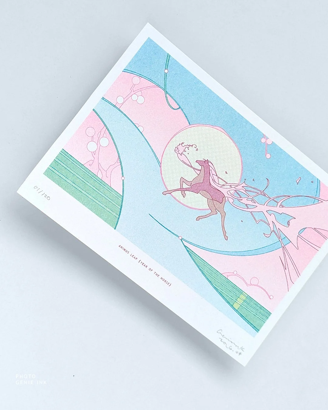 Genieink_CO_IL_PA-01_animusleap_riso_photo1.jpg