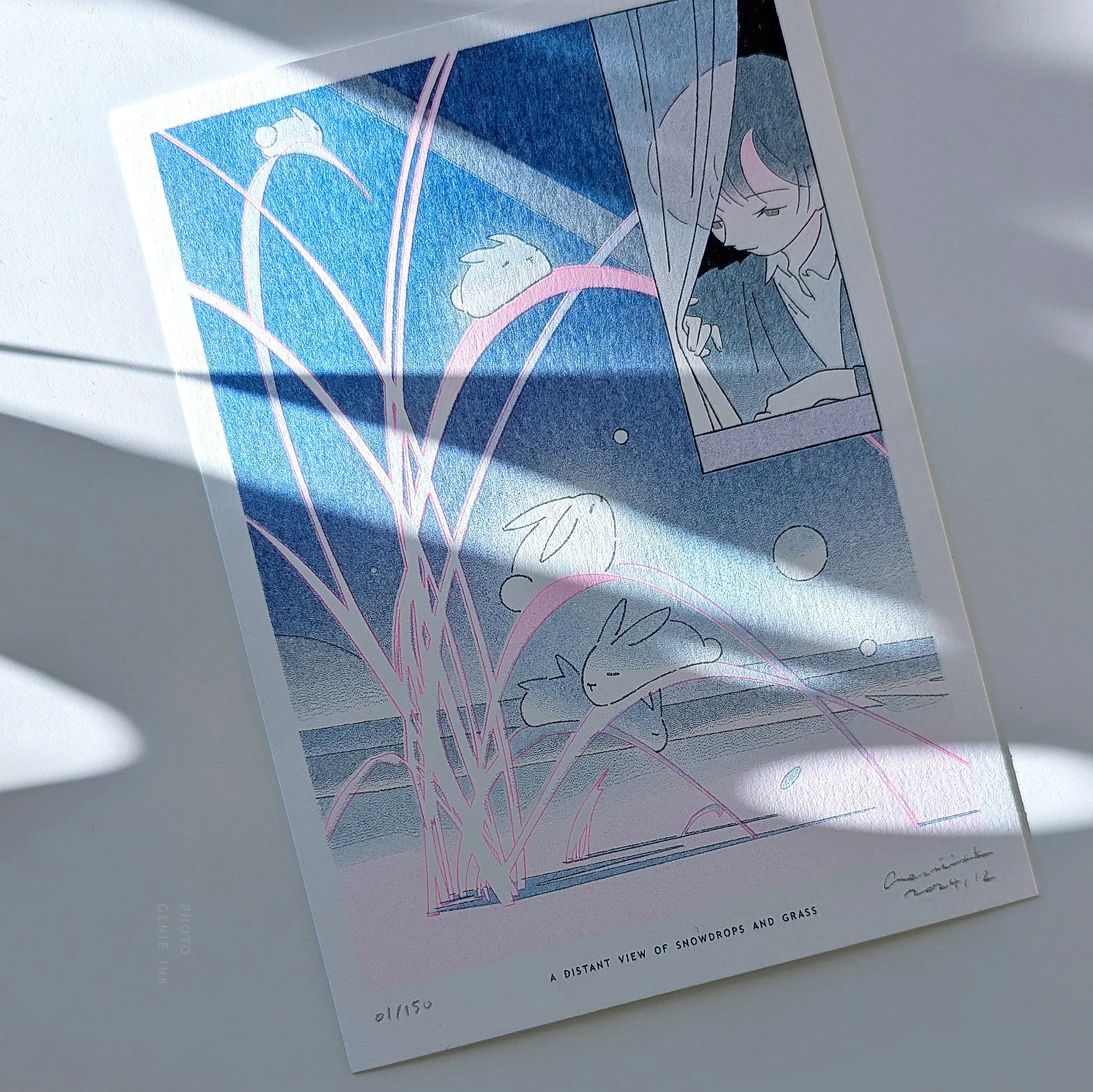 GN_CO_IL_PA-11_distantview_riso_photo1.jpg