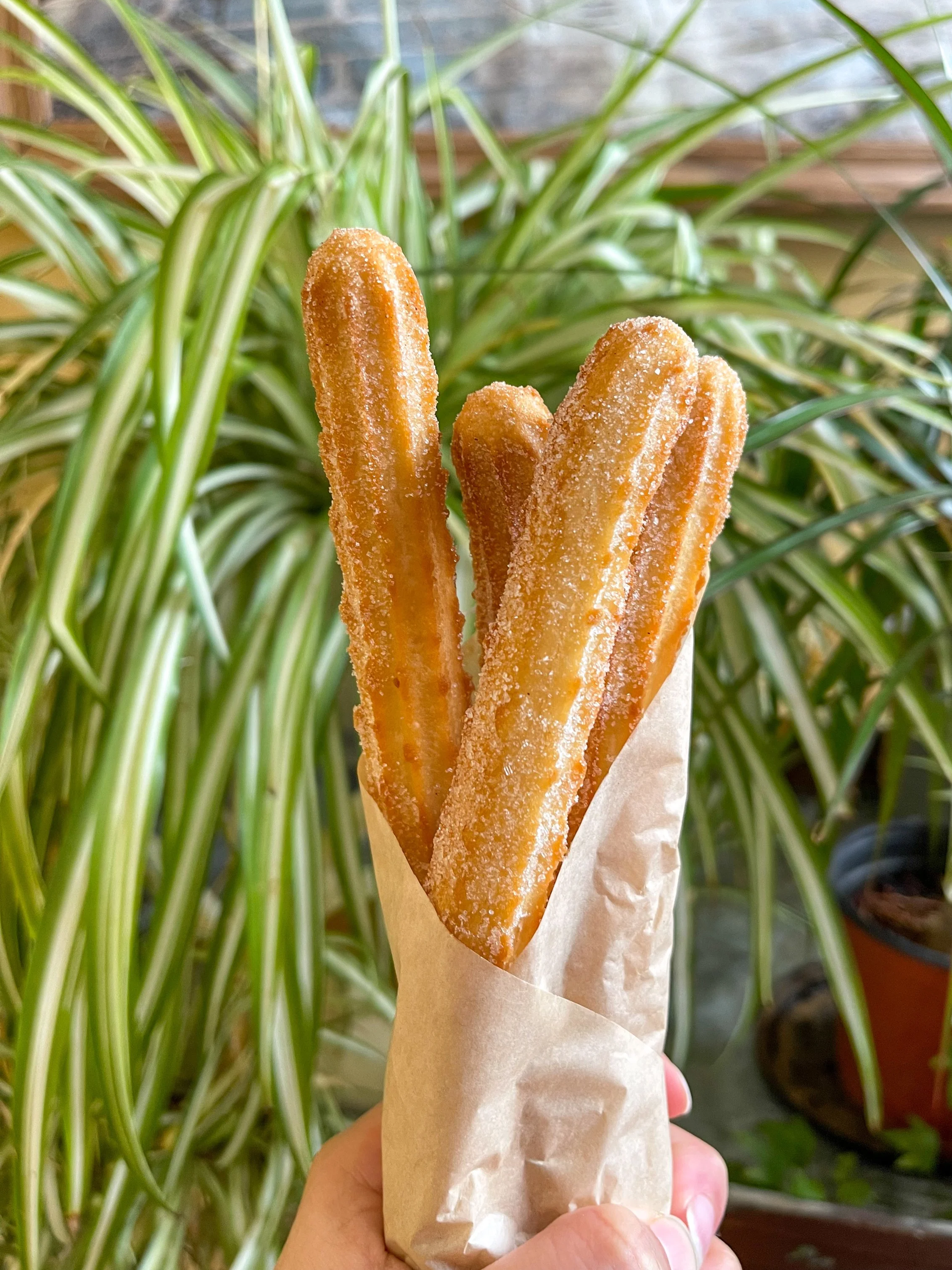 Churros Artisan