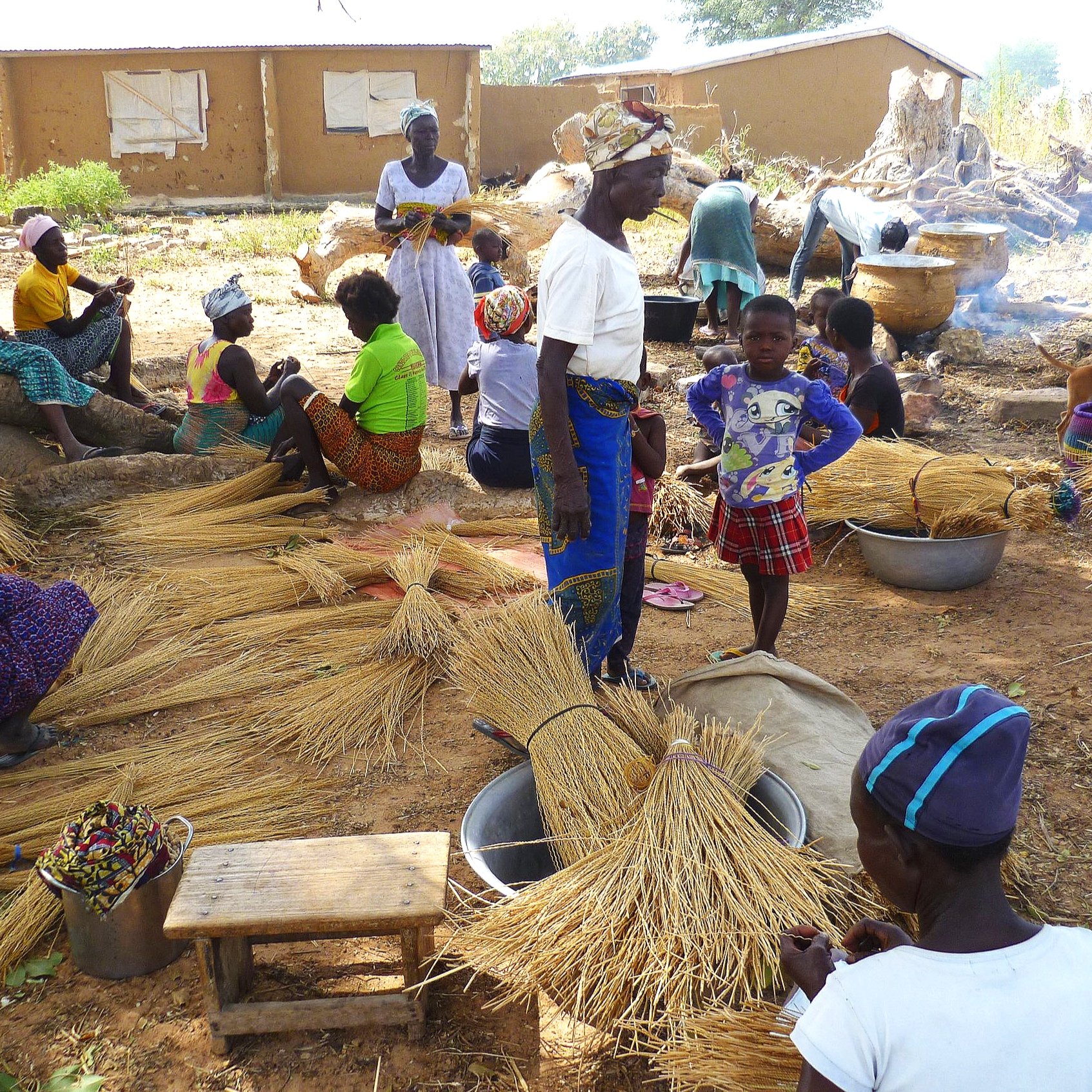 Savanna Baskets