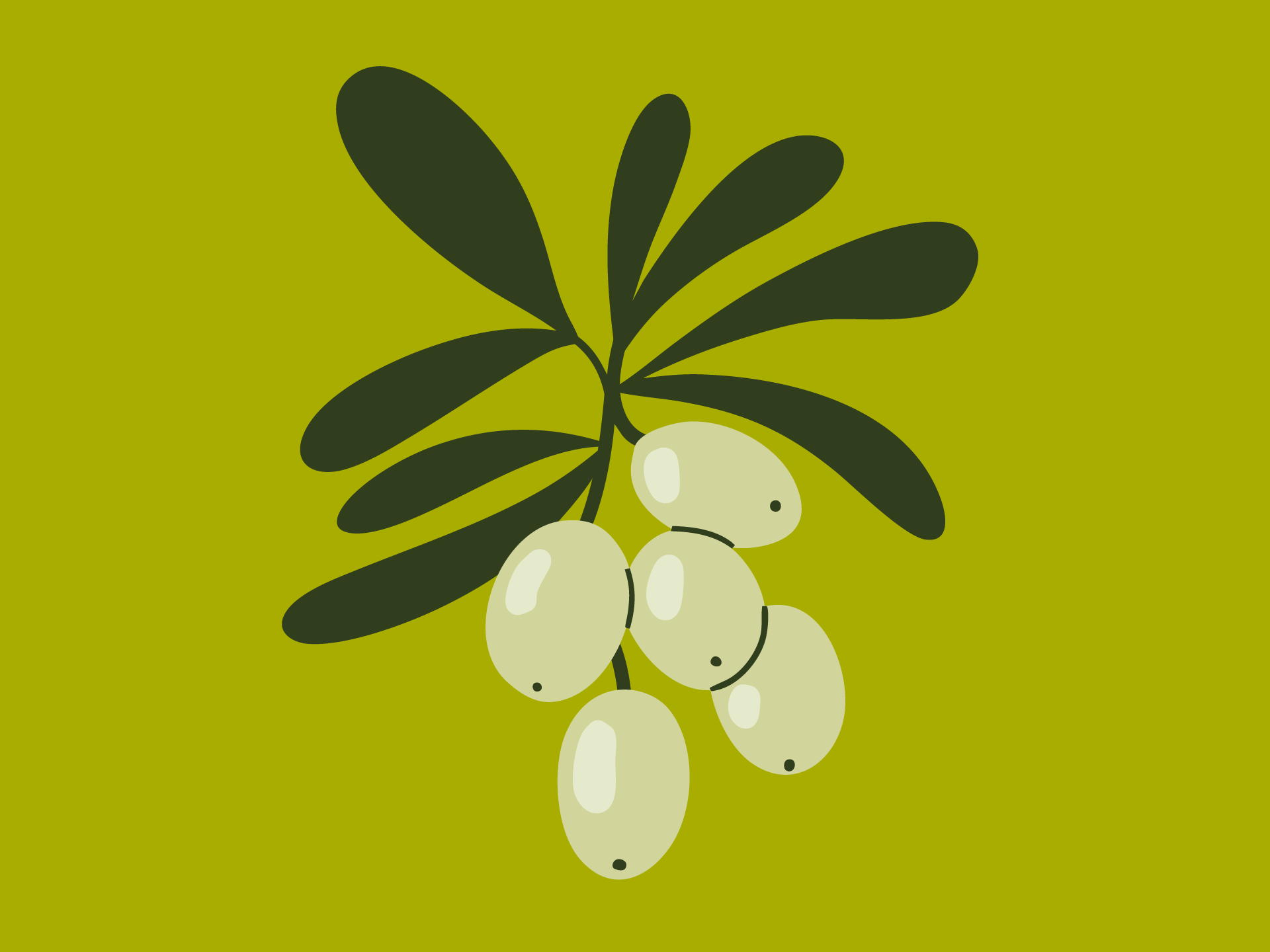 Olive Garden