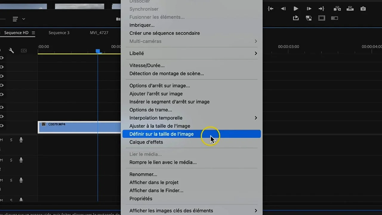 ajuster ou définir sur la taille de l'image Premiere Pro échelle 50% repère de zoom 4K