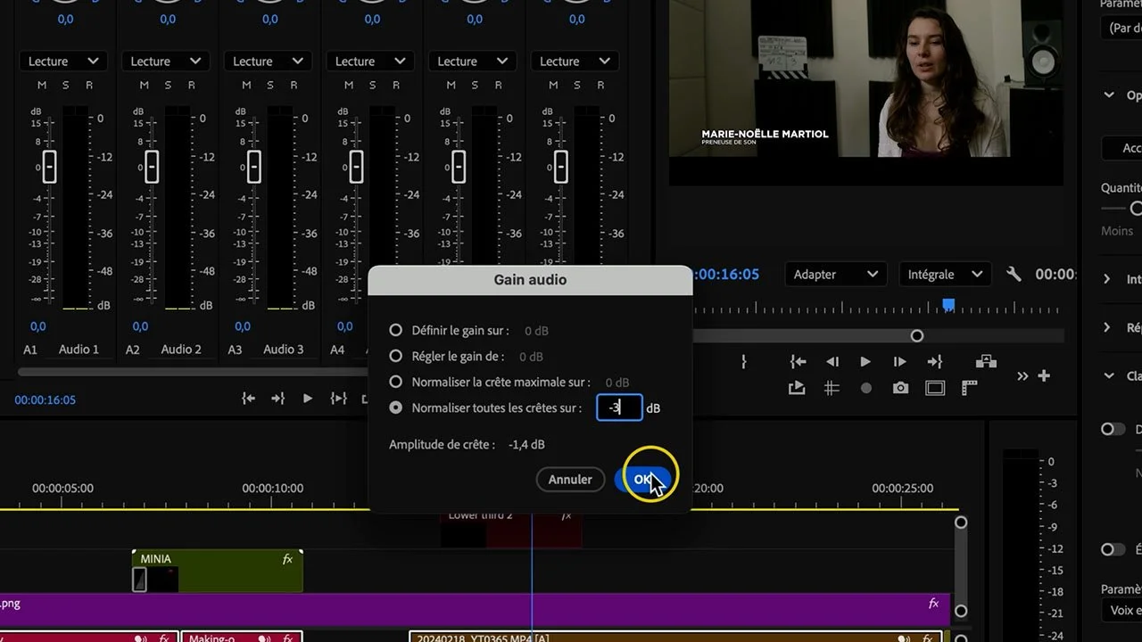 gain audio Premiere Pro normaliser toutes les crêtes -3 dB uniformiser niveaux - Tuto Premiere