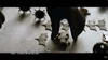 11 techniques de cut en montage vidéo utilisées au cinéma — Ecole des ...