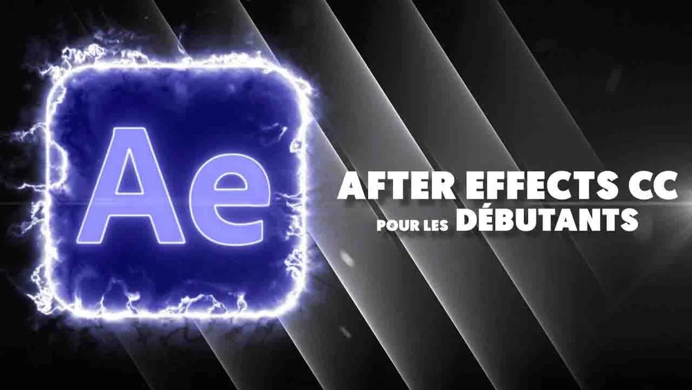 Ecole des Vidéastes | Formation Montage Vidéo - Premiere Pro & DaVinci