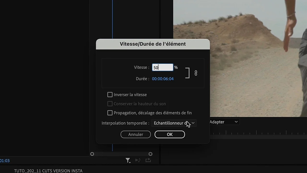 ralenti saccadé cadence d'image flux optique Premiere Pro 50 images par seconde - Tuto Premiere