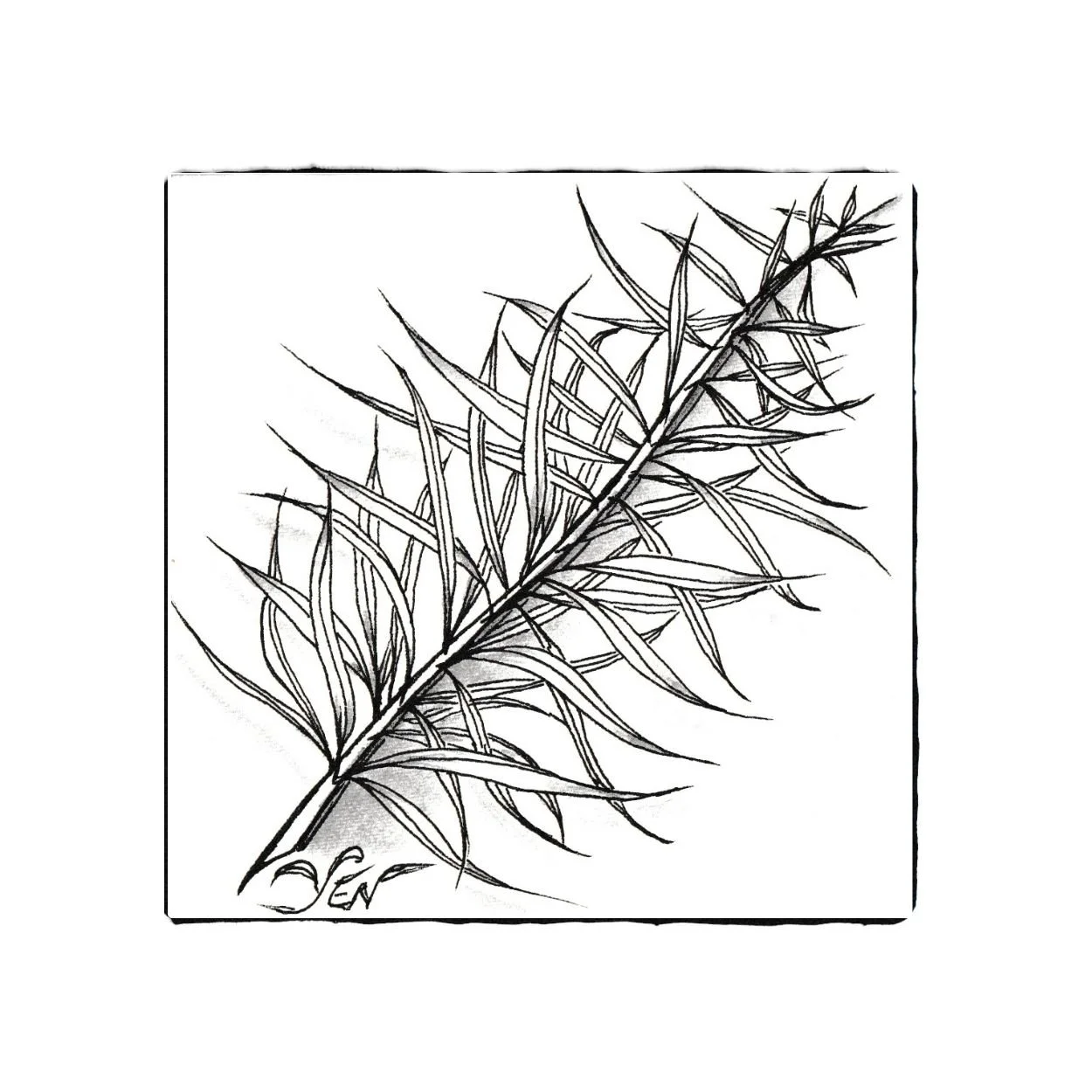 Zentangle 禪繞畫