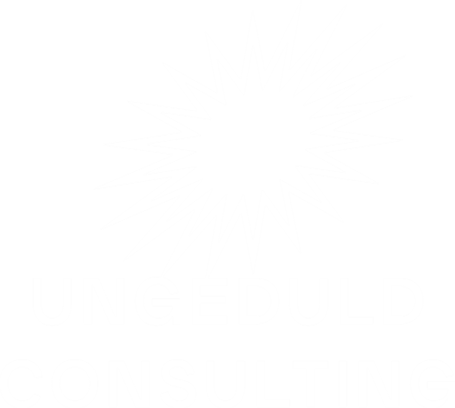 UNGEDULD CONSULTING