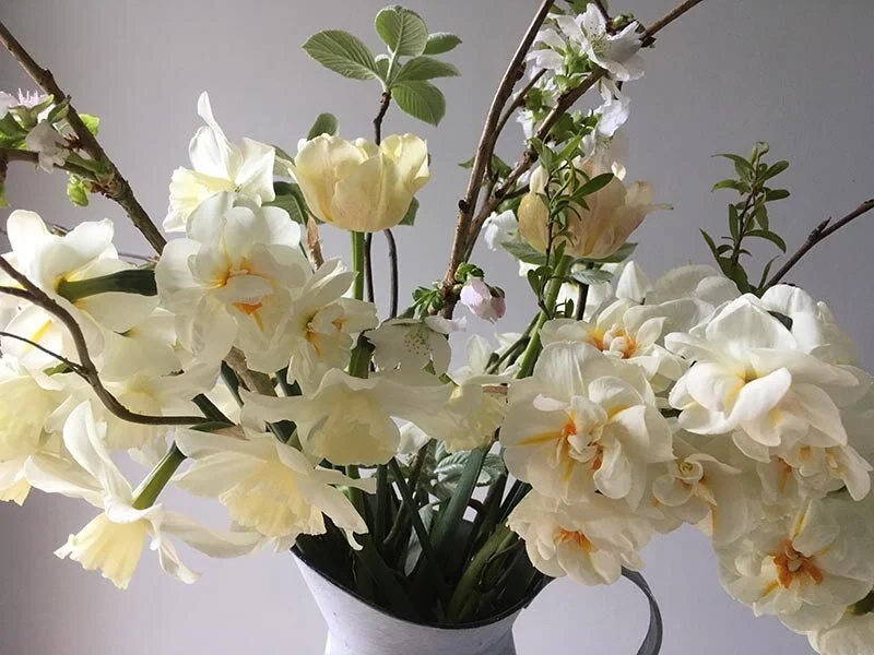 Flower Shop — Bizzy Lizzies Flowers Artisan Flower Farm Waterford