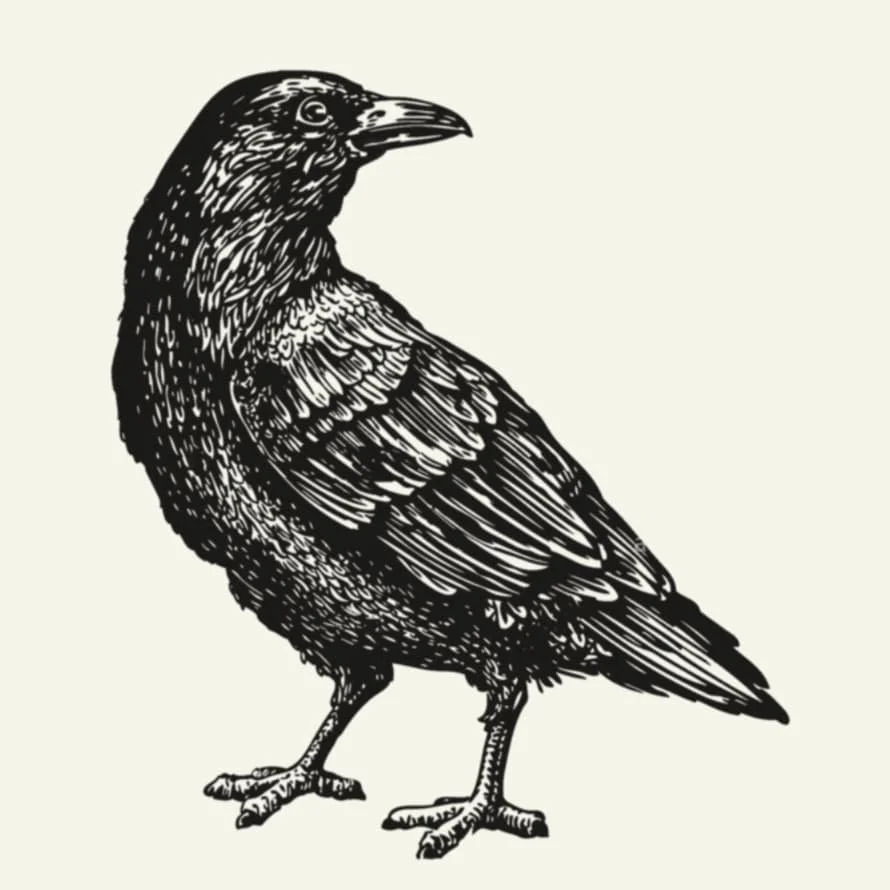 Rookery Cottage