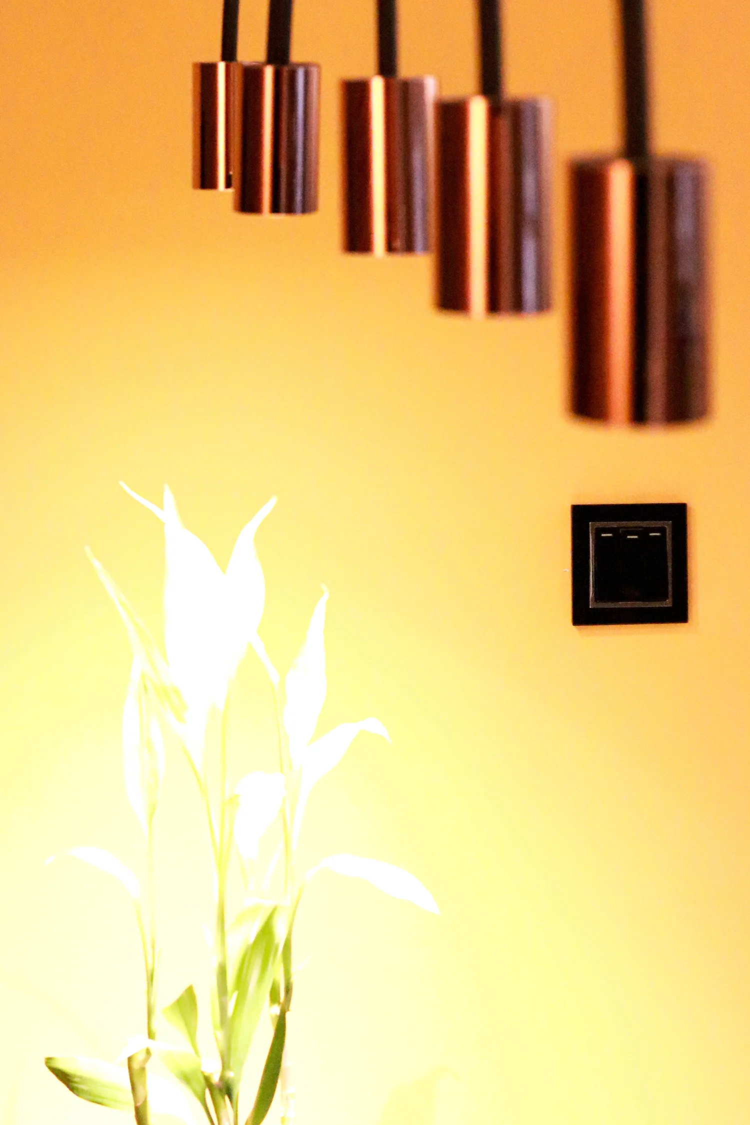 Granville Garden interior view 7