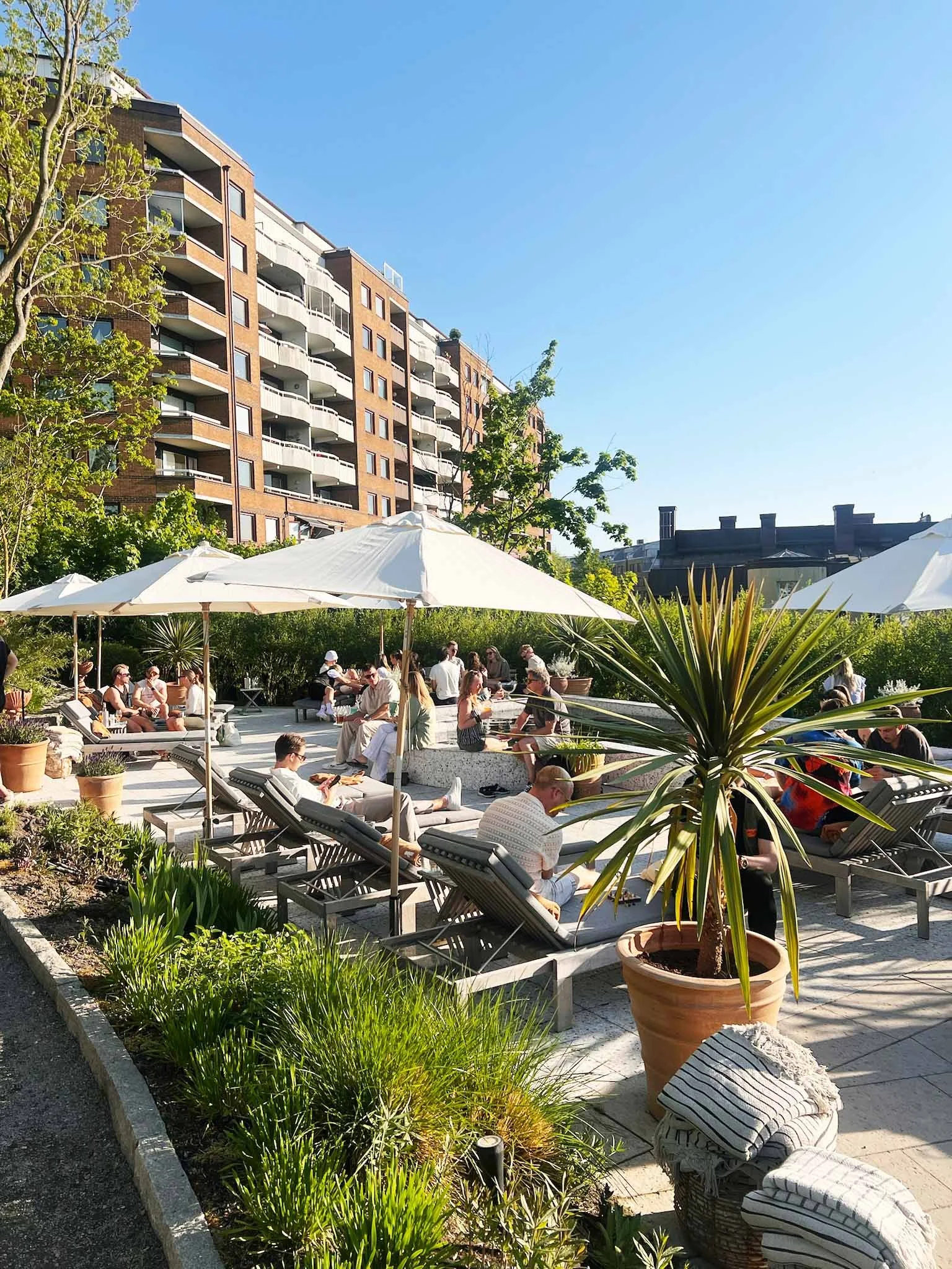 People relaxing on lounge chairs and sitting under umbrellas in an outdoor courtyard with plants, trees, and apartment buildings in the background on a sunny day.