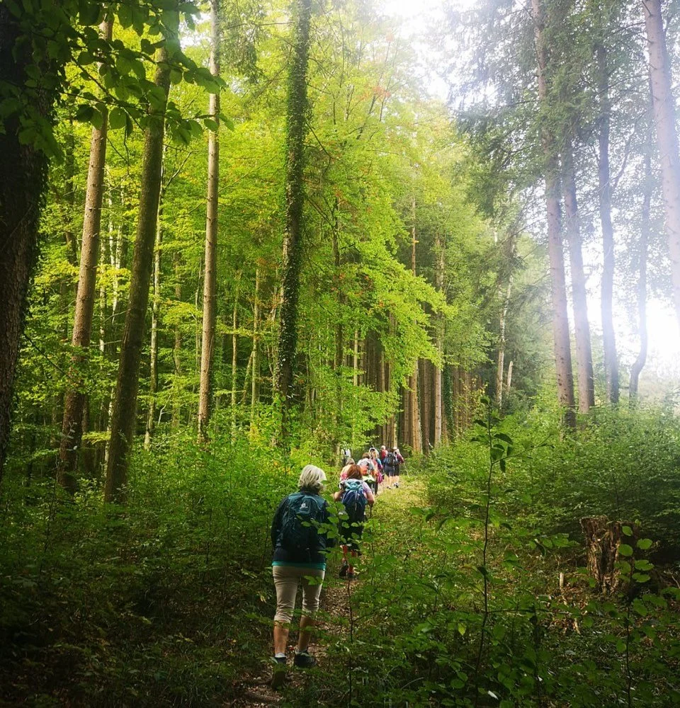 Frauenpilgertag -> Route S01 (Flachgau) Start in Wals
