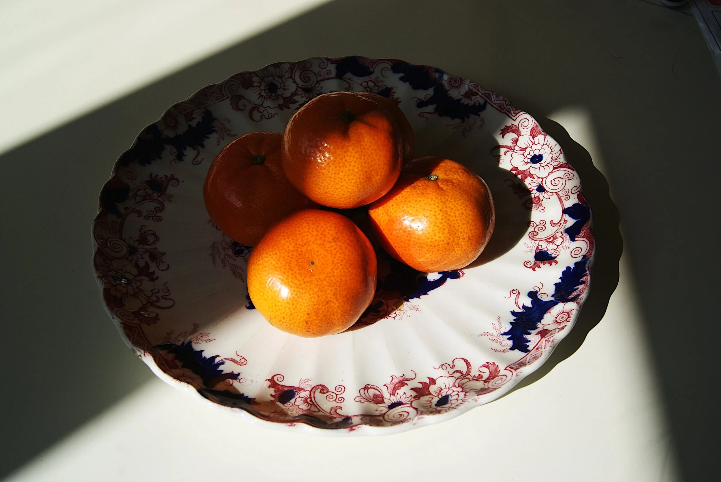 Vintage Dinner Plate