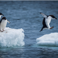 Time to move your payroll…?