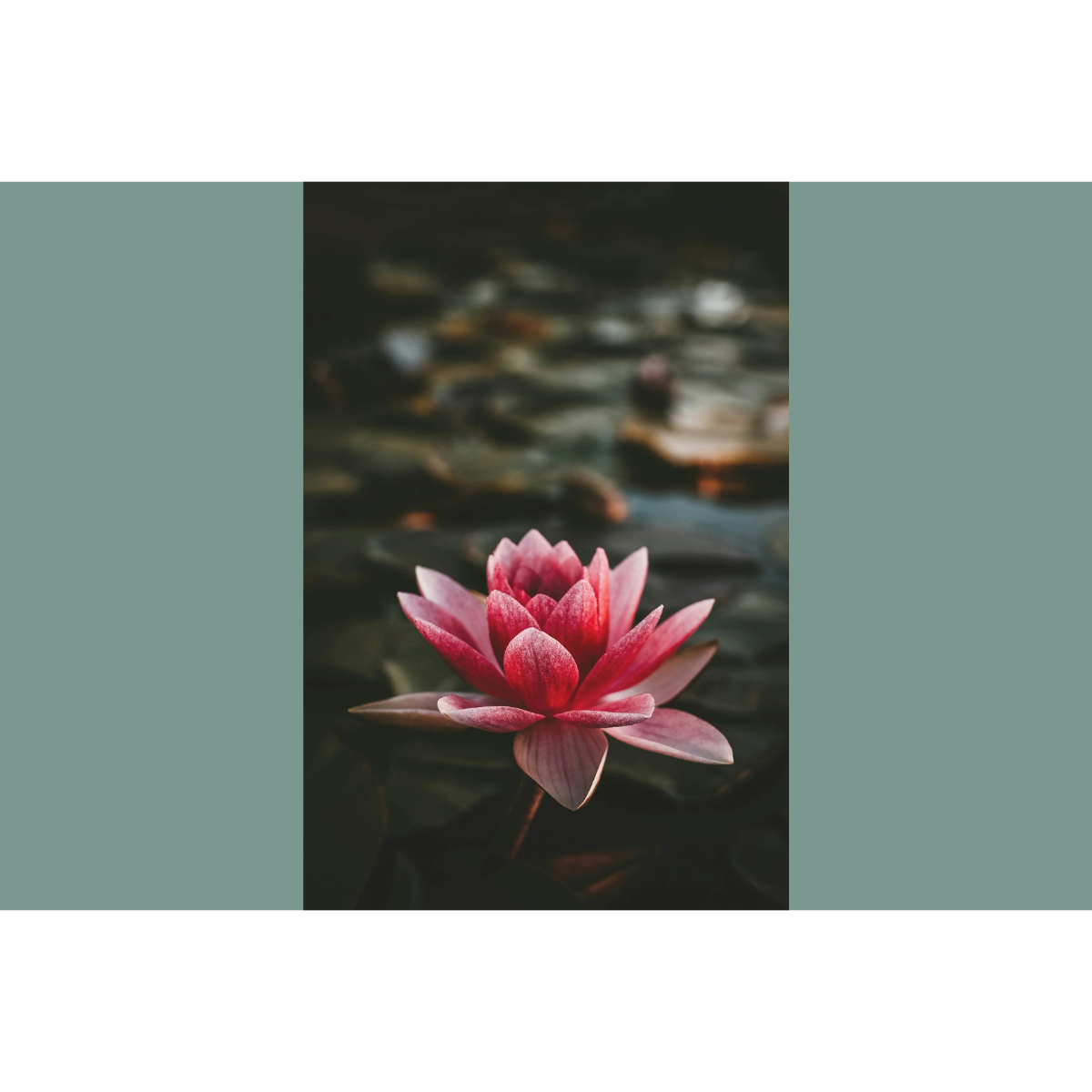 Menopause for Thought